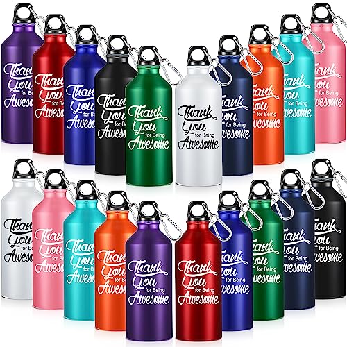 Tanlade Pcs Employee Appreciation Gifts, 20 oz Aluminum Bottles, Multicolor