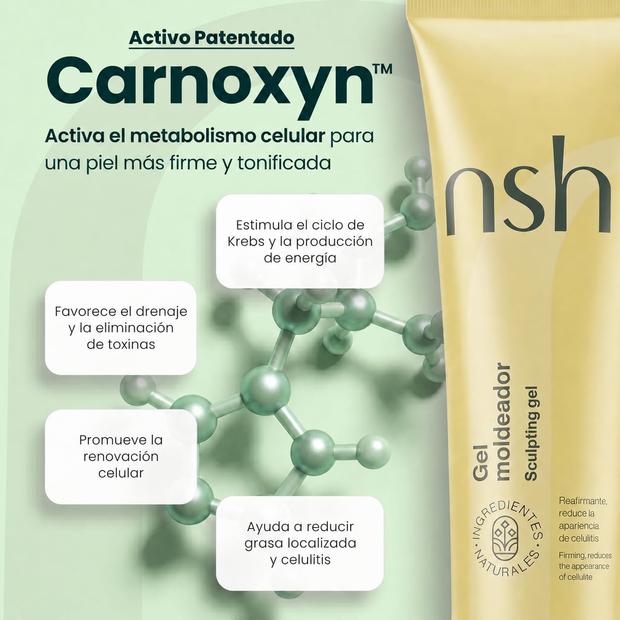 nsh. Crema Anticelulitica Reductora 2x 300ml. Reafirmante Corporal con Cafeína al 12%. Tensa y remodela el contorno. Reduce Celulitis y Piel de Naranja | Hidratante + Reafirmante. (Paquete de 2)