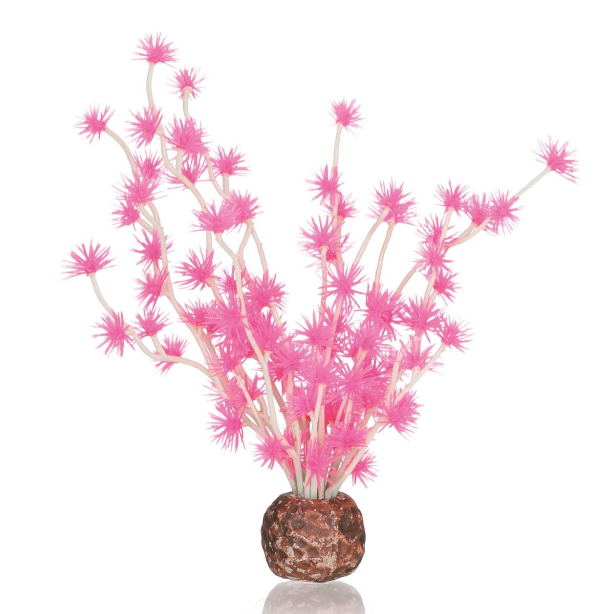 biOrb Bonsai Topu Pembe