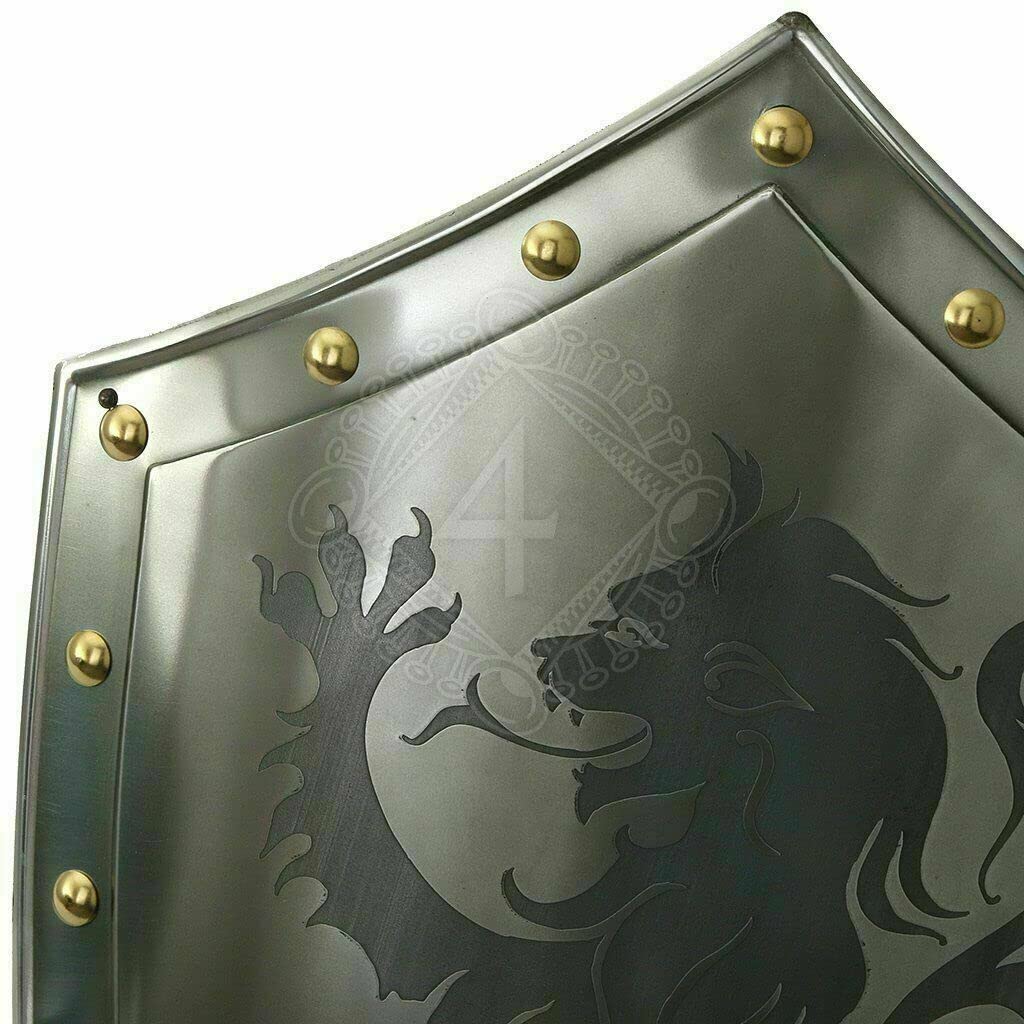 Scudo medievale Riscaldatore Funzionale Drago Guerriero Templare Cavaliere Armor 28" Scudo