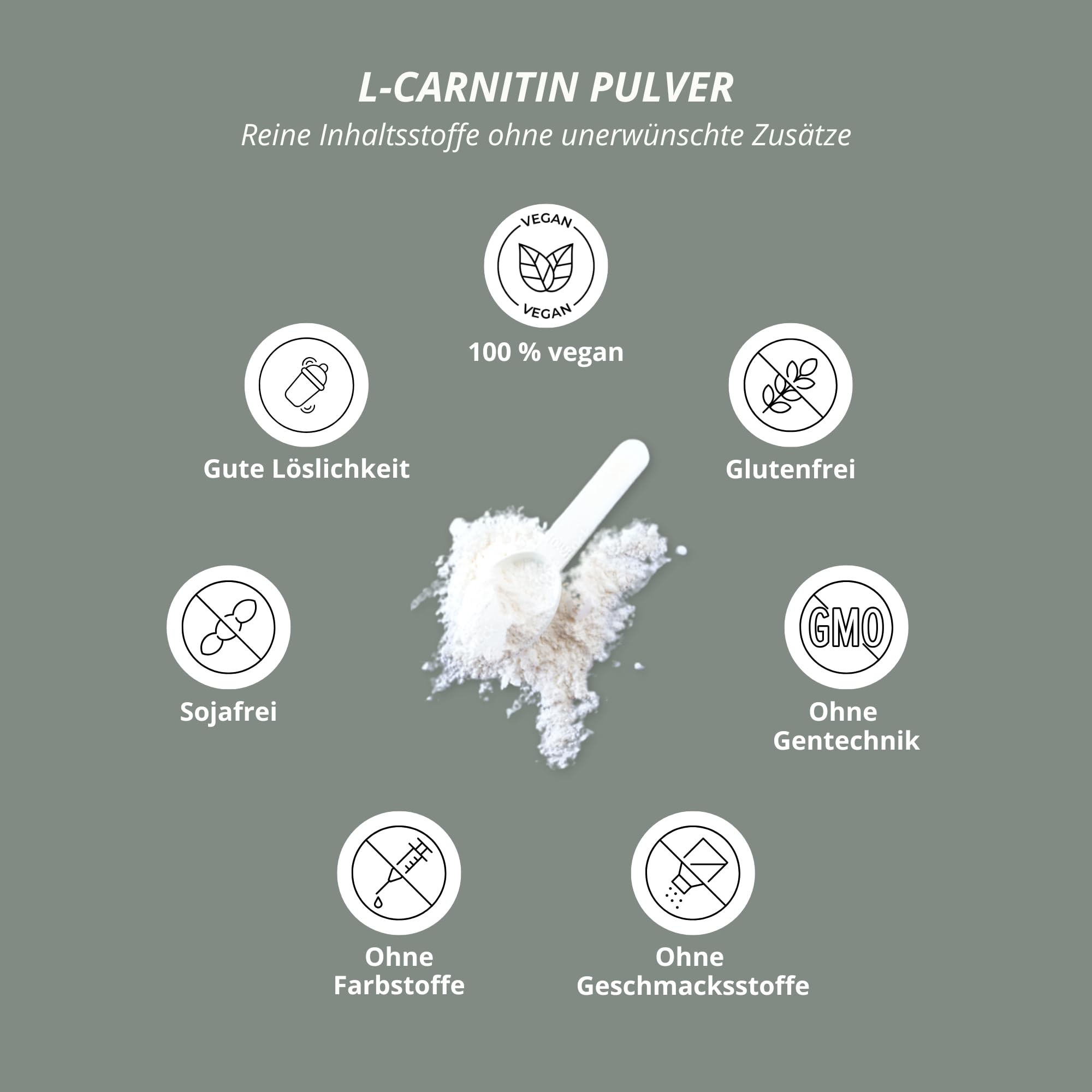 propionyl l-carnitine bulk powder BulkSupplements L-Carnitine Powder 250 Grams (8.8 oz)