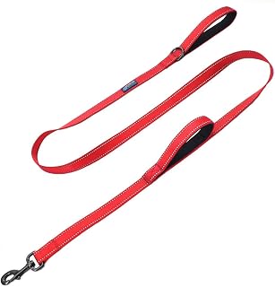 Max and Neo Double Handle Traffic Dog Leash - Reflective, 4 FT (RED)