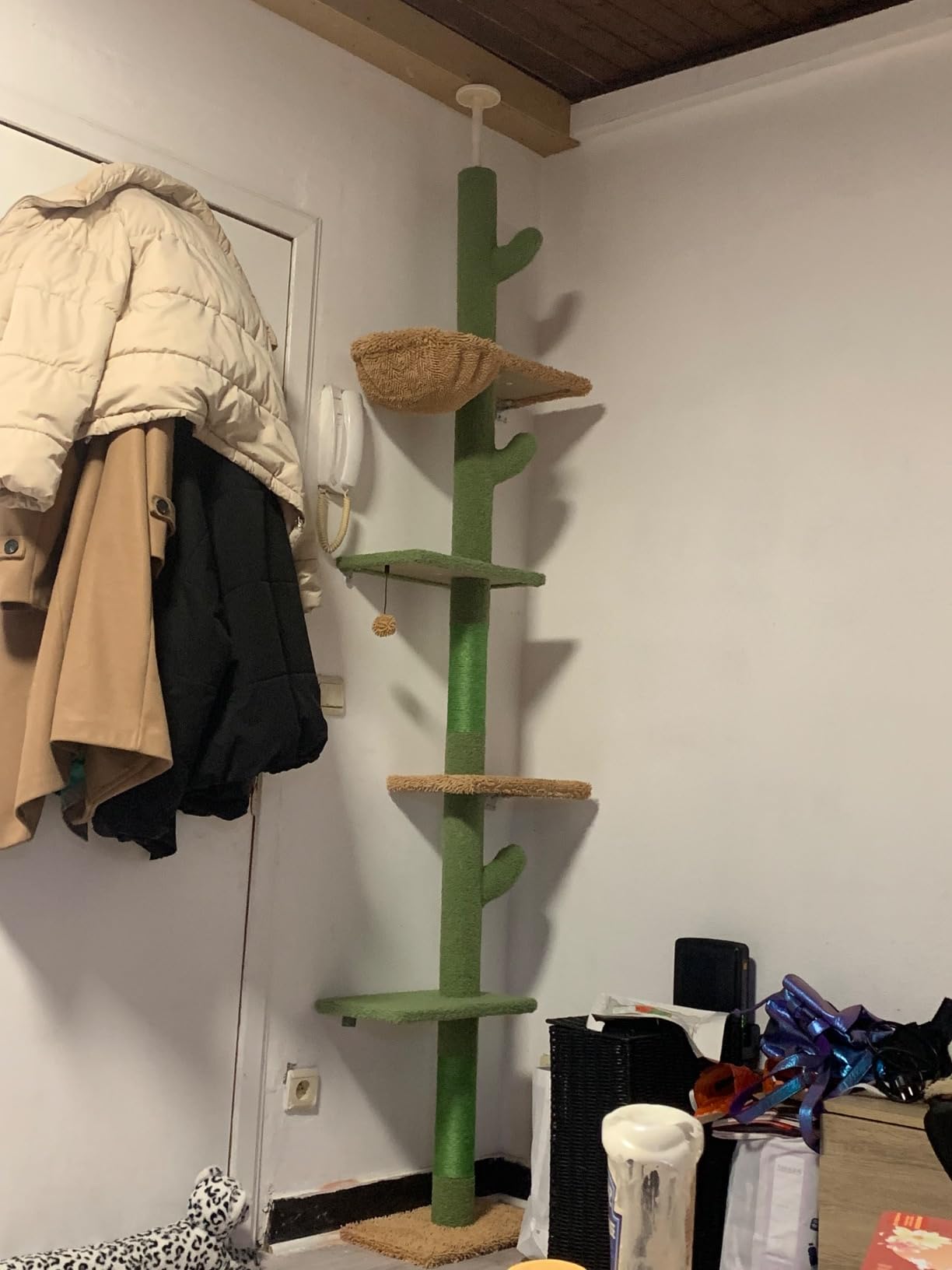 Customer photo
