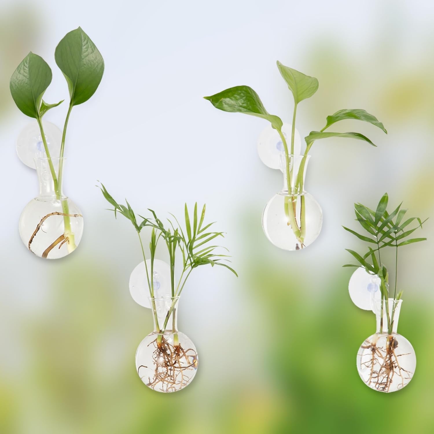 WJUAN Propagation Station 2-tlg - Reagenzgläser Für Pflanzen Ohne Bohren