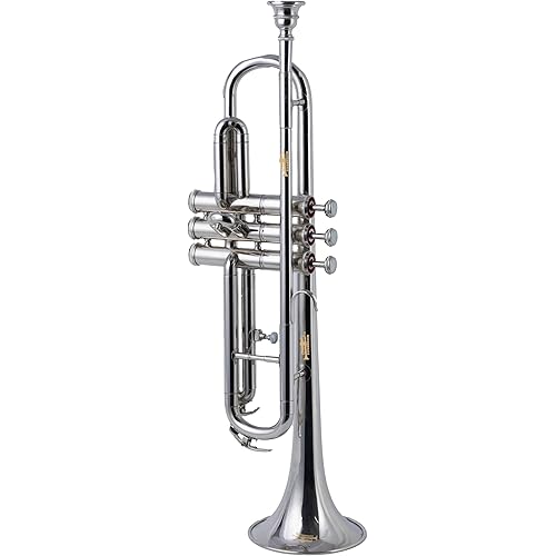 Queen Brass Bb Trumpet Chrome Finish Brass Body with 7C Mouthpiece and Hard Case for Beginners and Students Band Rehearsals School Performances Practice