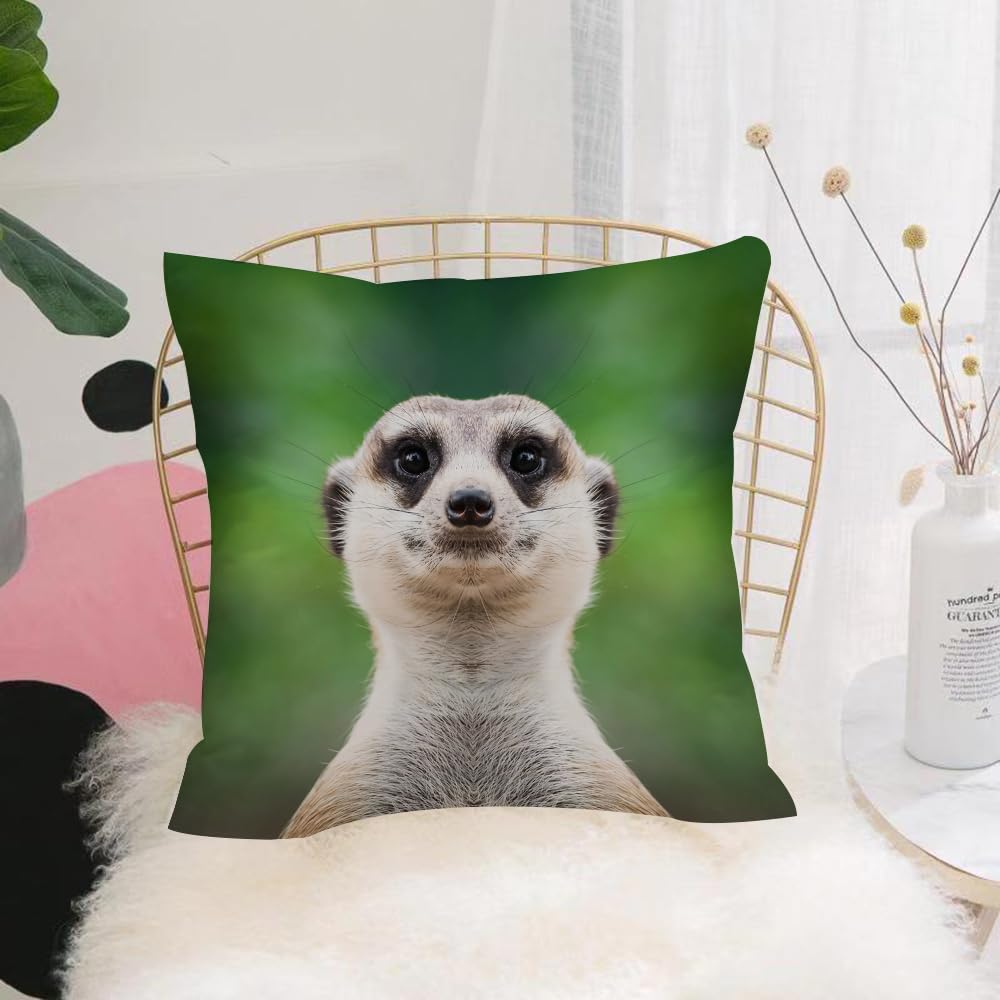 HYOSXW Cushion Cover,Throw Pillow Case Home Decorative for Living Room Bedroom Sofa Chair 16X16 Inch,A selective focus shot of a meerkat face,Pillowcase 40X40cm