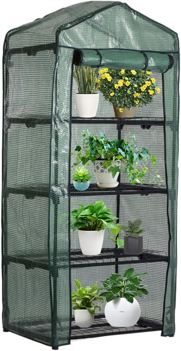 Amazon.com : HSHGZSR 4 Tier Mini Garden Greenhouse Cover, Garden ...