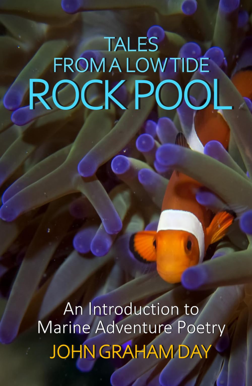 TALES FROM A LOW TIDE ROCK POOL: An introduction to Marine Adventure Poetry