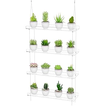 kuroyagiさん　オーダー品　植物棚 71Ap-hAQ9bL._UF350,350_QL50_.jpg