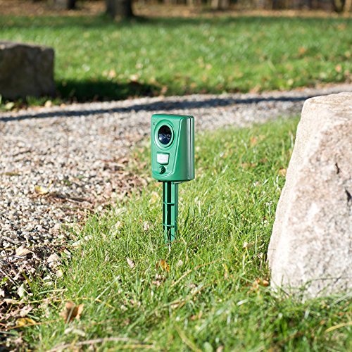 Royal Gardineer Taubenabwehr Ultraschall: 2er-Set Universal-Ultraschall-Tierschreck, Bewegungssensor, für 60 m² (Hochfrequenz Hundeabwehr, Taubenschreck, Hund)
