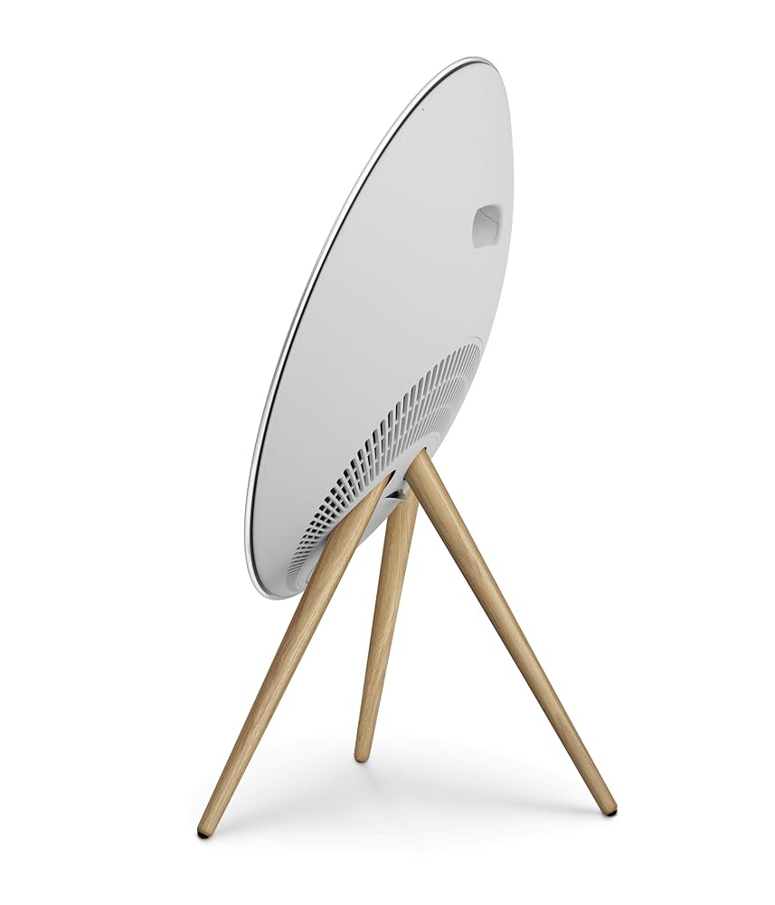 バング&オルフセン　Beoplay A9 1stGenタイプ2949 Amazon.com: Bang & Olufsen Beosound A9 (5th Generation