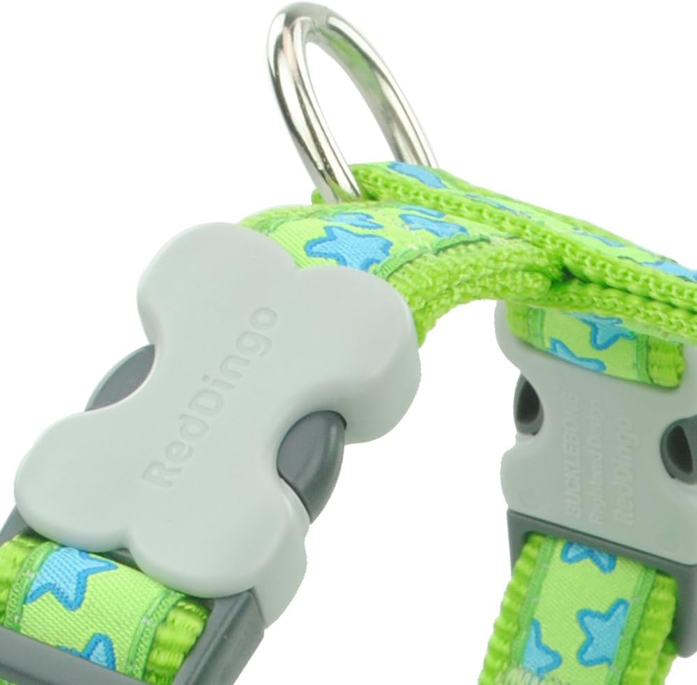 Red Dingo Classic Dog Harness Design, Stars Turquoise on Lime Green, Large 25mm