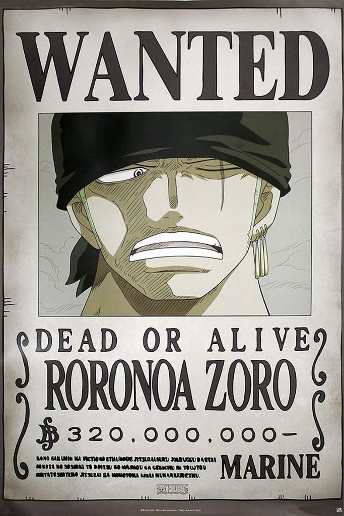 One Piece Roronoa Zoro Wanted Poster (16 x 20 inches) : Amazon.ca