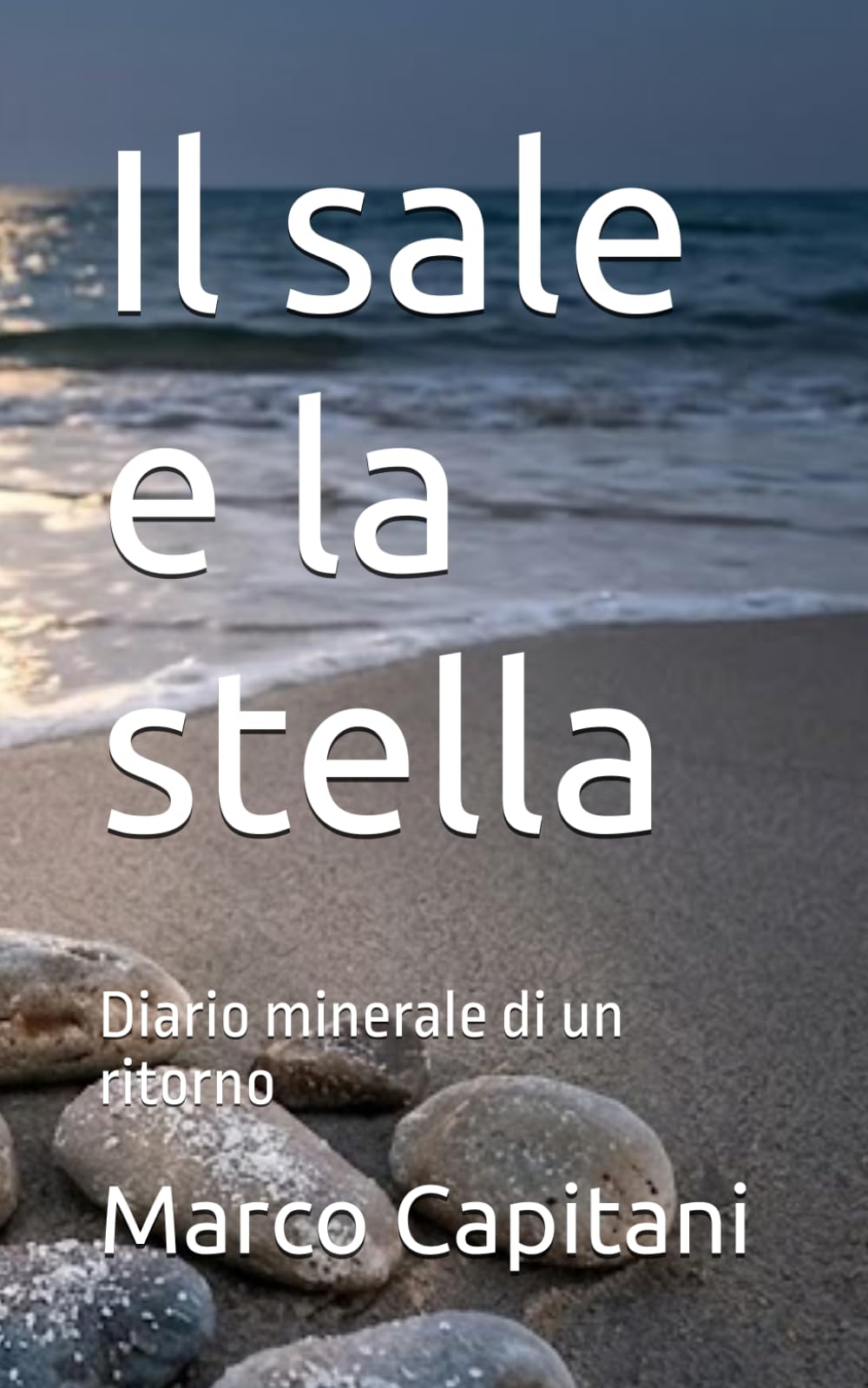 Il sale e la stella: Diario minerale di un ritorno (un poeta del nuovo millennio)