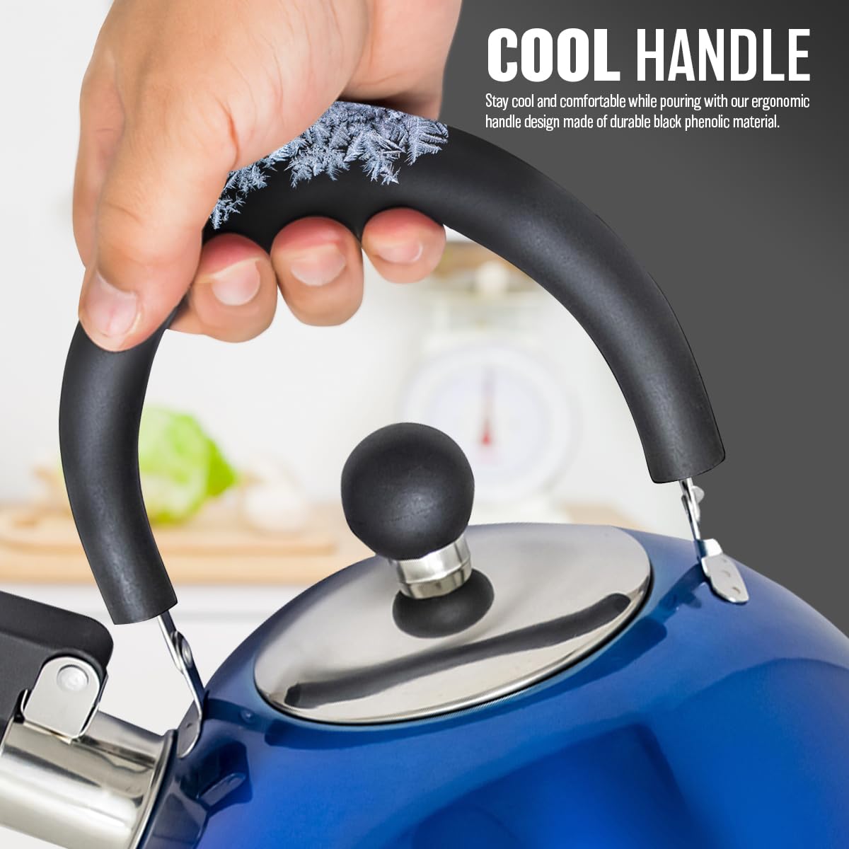 Roestvrijstalen fluitketel, 2 liter, fluitketel, waterkoker, waterketel