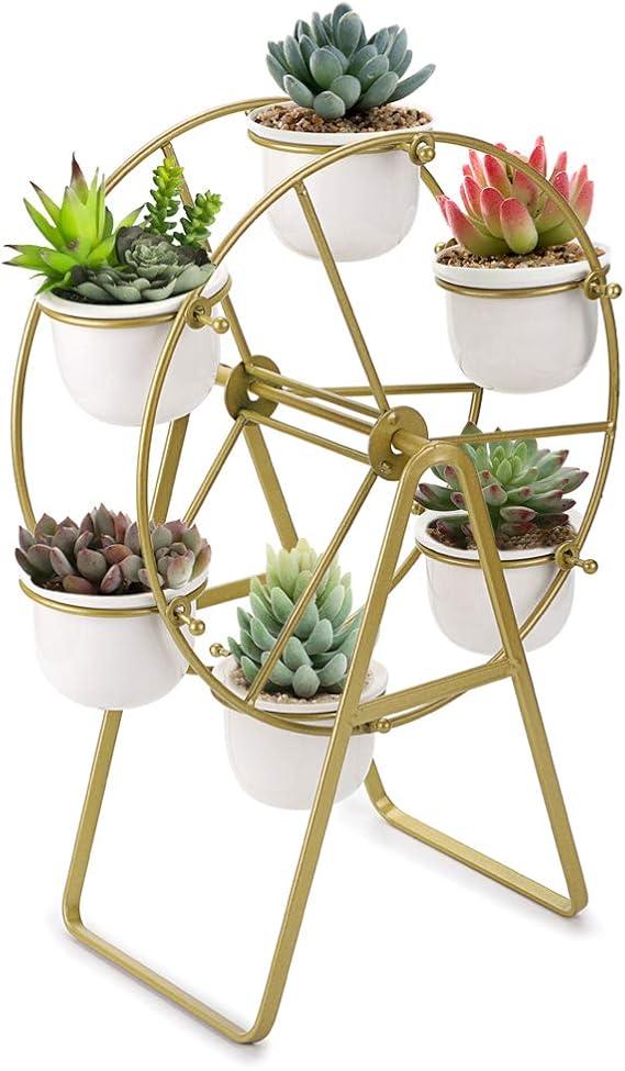 JUXYES Ferris Wheel Planter Succulent Plant Stand with 6