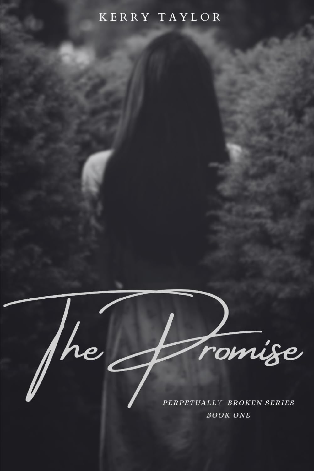 The Promise (Perpetually Broken)