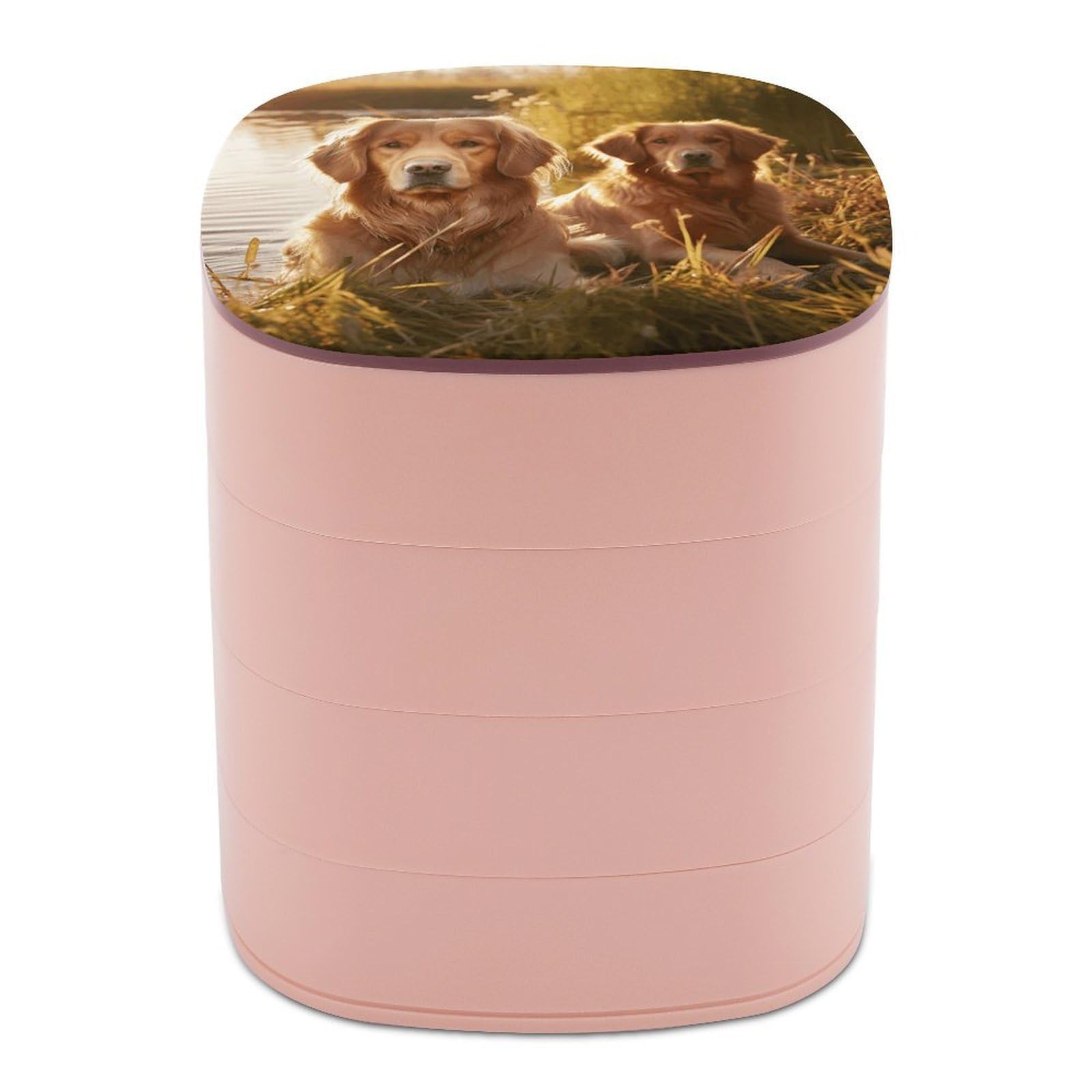 VstaDank Two Golden Retrievers Jewelry Box with Mirror Travel Small Jewelry Case for Women 4-Layer Rotatable Jewelry Organizer Storage Box Portable Jewelry Storage Case for Rings Earrings
