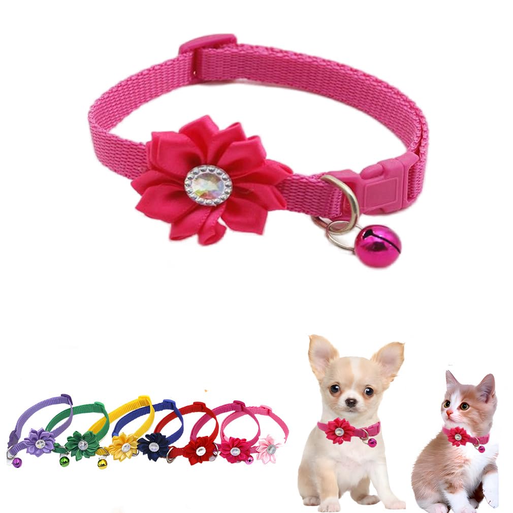 Hot Pink Cat Collar with Bell, Girl Puppy Collar with Flowers Small Dog Collar Soft Nylon Adjustable for XXS Xs Small Pet Kitten Dogs Animal Litter