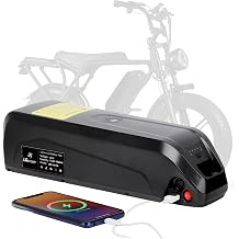 36 V 48 V 52 V 10 Ah 15 Ah 20 Ah B attery Pack,Up to 1500 Cycles,5 PIN Base48V15AH