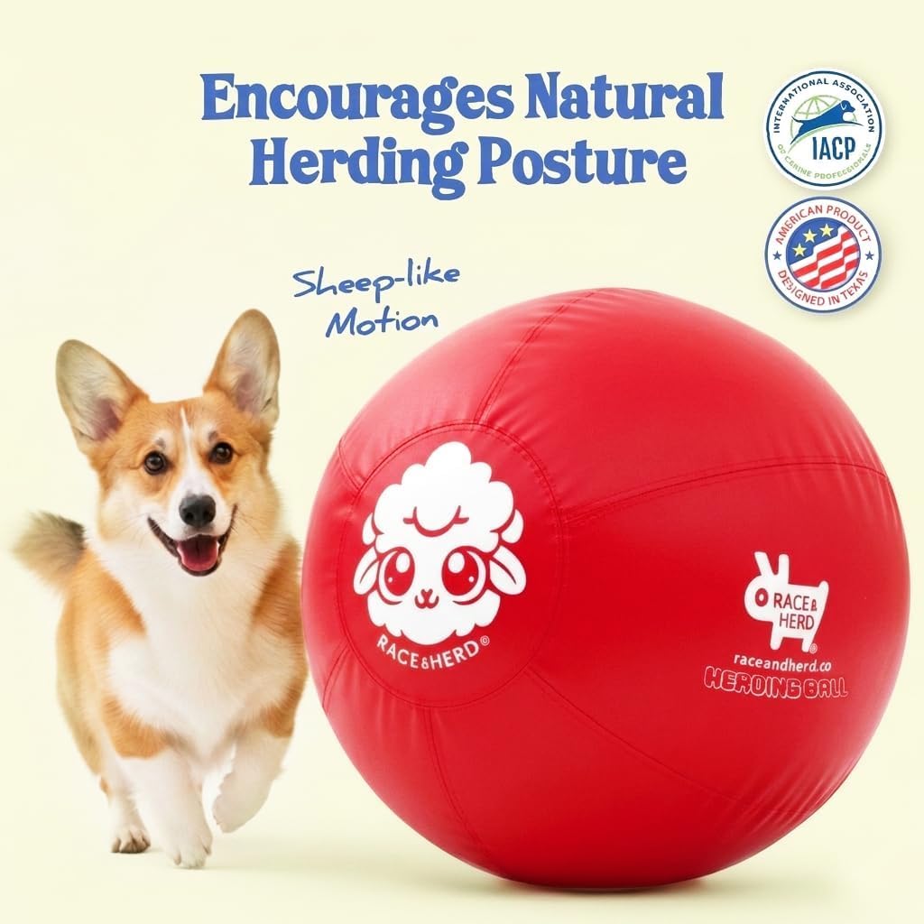 Race&Herd Balle de troupeau originale de 55,9 cm pour chiens — Balles pour | Balle de troupeau moyenne pour berger australien, Border Collie, Corgi et Blue Heeler, exercice en plein air instinct