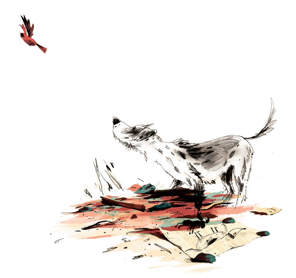 Der Hund, den Nino nicht hatte