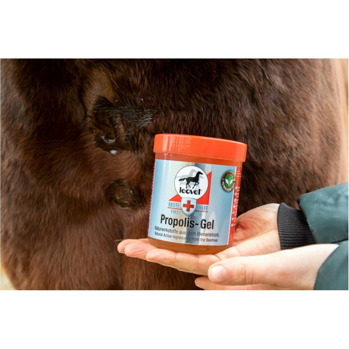 RL24 leovet - Erste Hilfe Propolis Gel für Pferde | Pferdebalsam mit ätherischen Ölen | unterstützt Wundheilung | antibakterielle Wundsalbe | Pferdesalbe bei Ekzemen & Insektenstichen | 1 x 350 ml