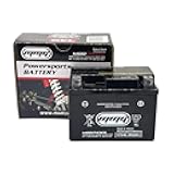 MMG YTX4L-BS Gel Cell High Performance sealed Battery, ATV TaoTao Cheetah TForce ATA 110cc and ATA 125cc Series