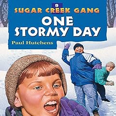 Couverture de One Stormy Day