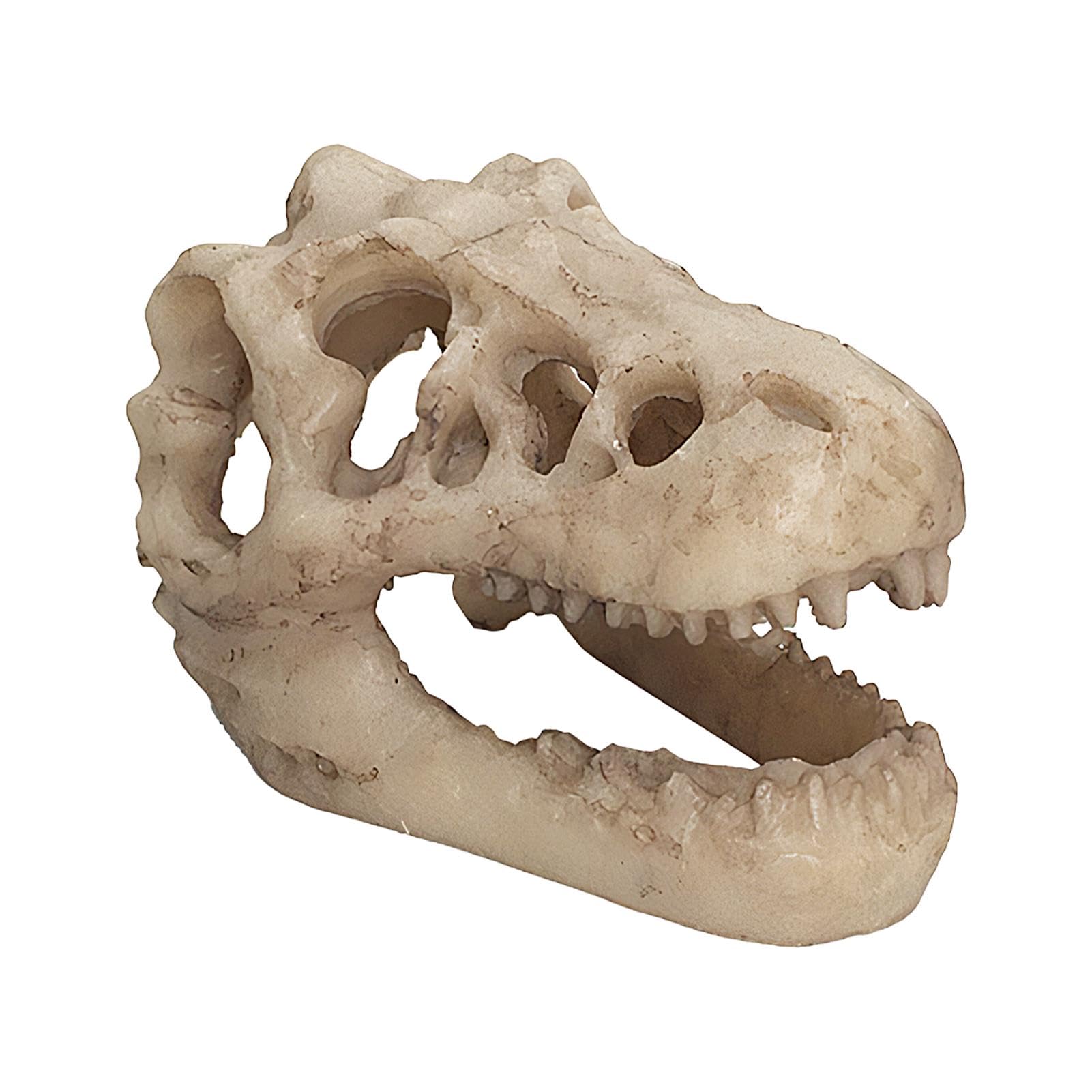 Nankoyal Skull Aquarium Decor, Resin Dinosaur Skull Decor Skull Cave Reptile Ornament, Unique Aquarium Terrarium Decoration Dinosaur Skeleton Ornaments for Reptile Amphibian Habitats