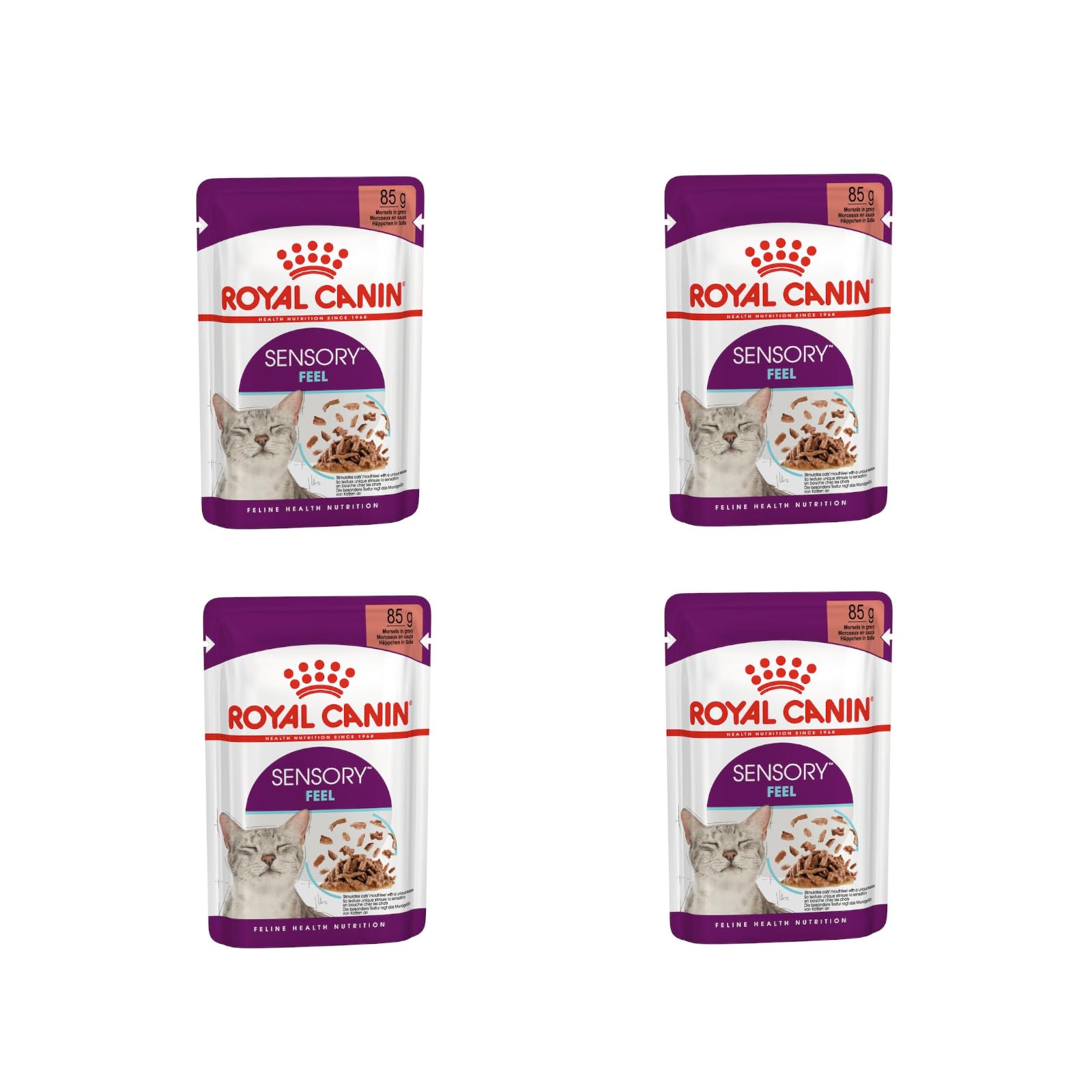 Royal Canin SENSORY Poczuj mokrą karmę w sosie dla trudnych kotów | 4 sztuki | 4 x 12 x 85 g | Specjalna tekstura może pomóc stymulować uczucie w ustach kotów