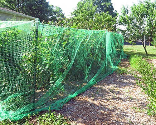Vogelschutznetz 4 X 5m Laubschutznetz Gartennetz Teichnetz