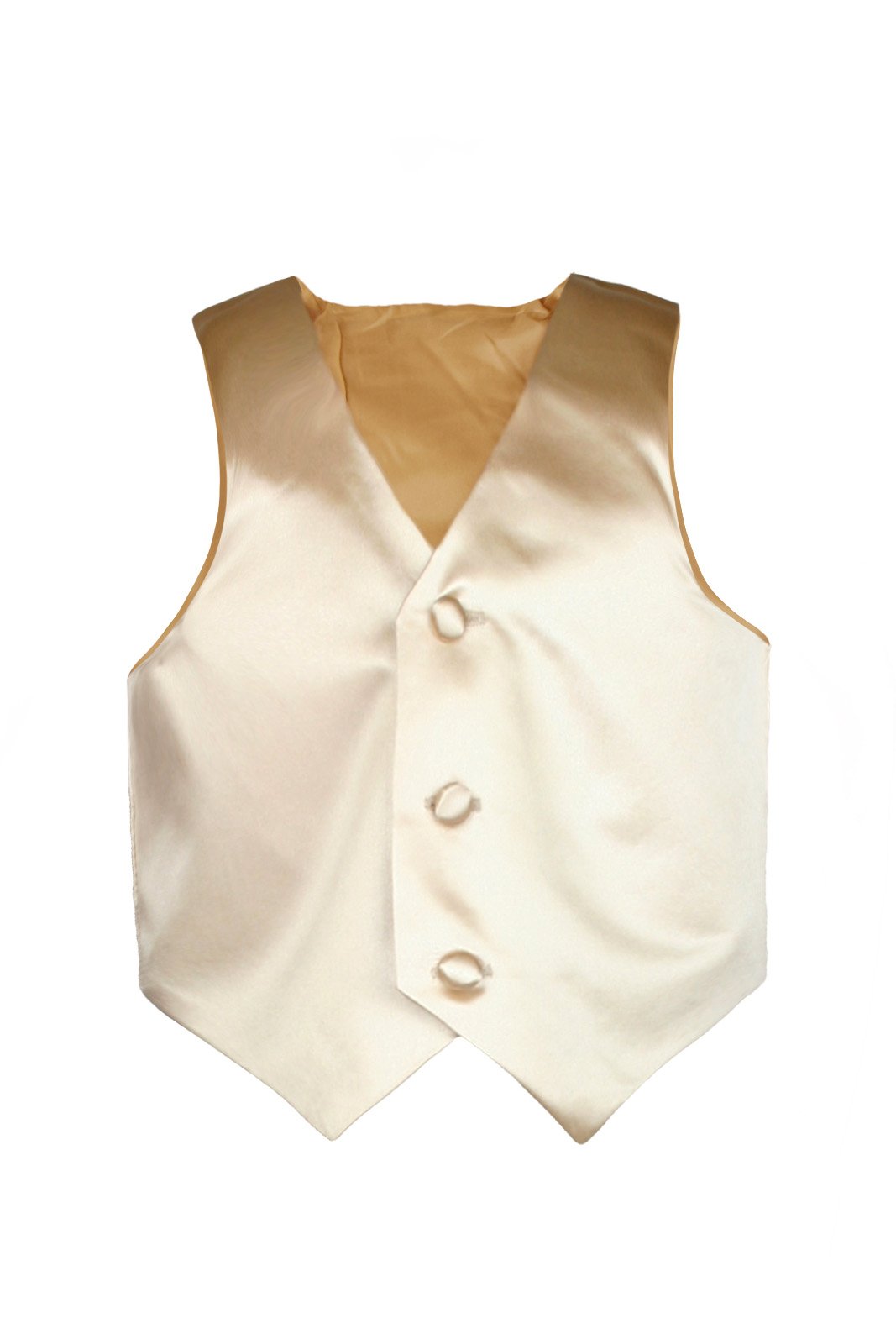 Baby Toddler Kids Little Boys Formal 23 Color Satin Vest S-7 (3T, Champagne)