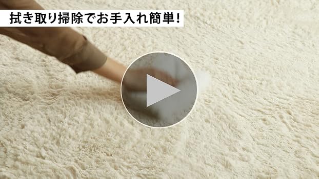 Amazon｜フリーリー シャギーラグ ラグ カーペット 200×200cm 約