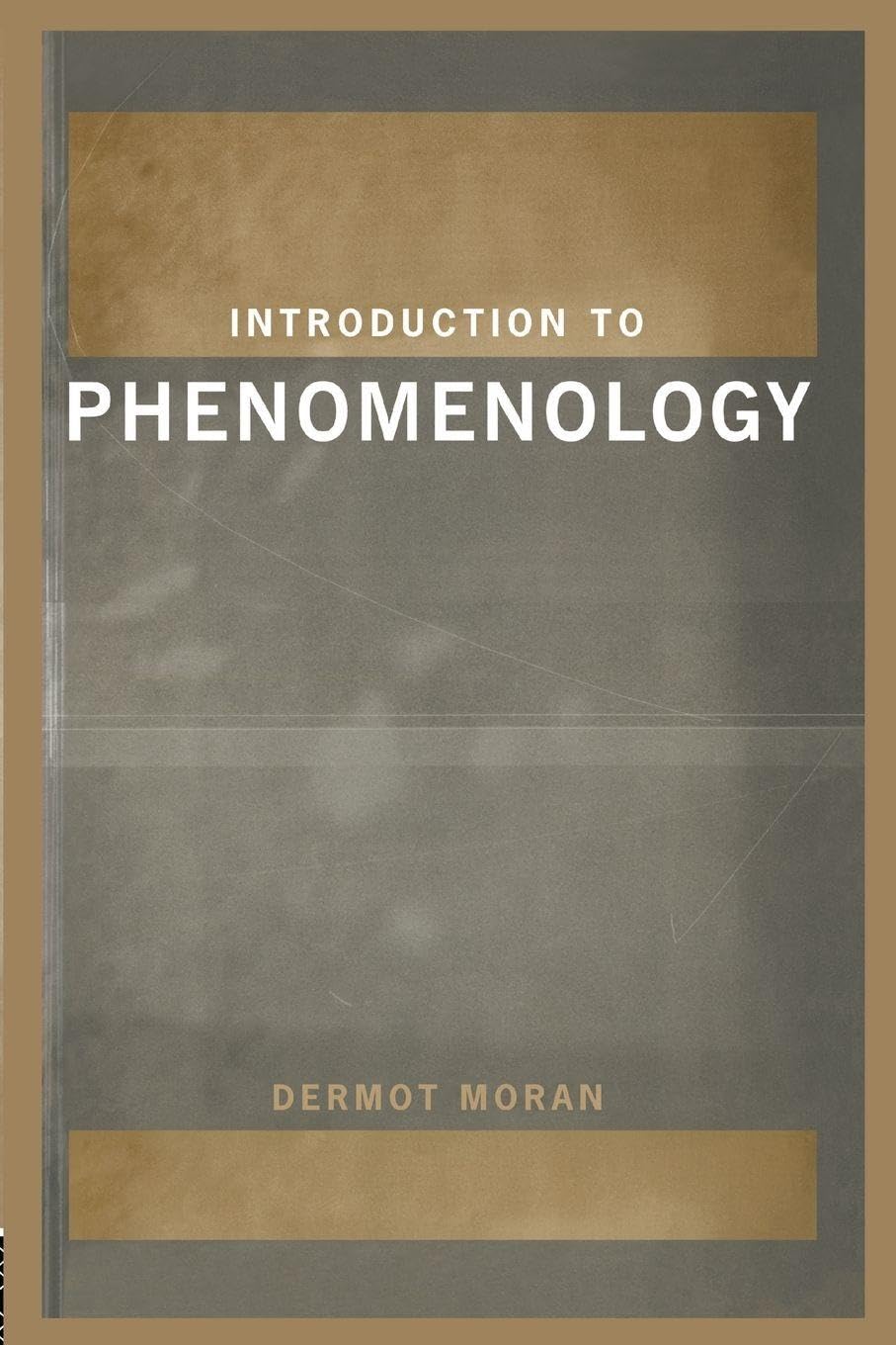 Introduction to Phenomenology