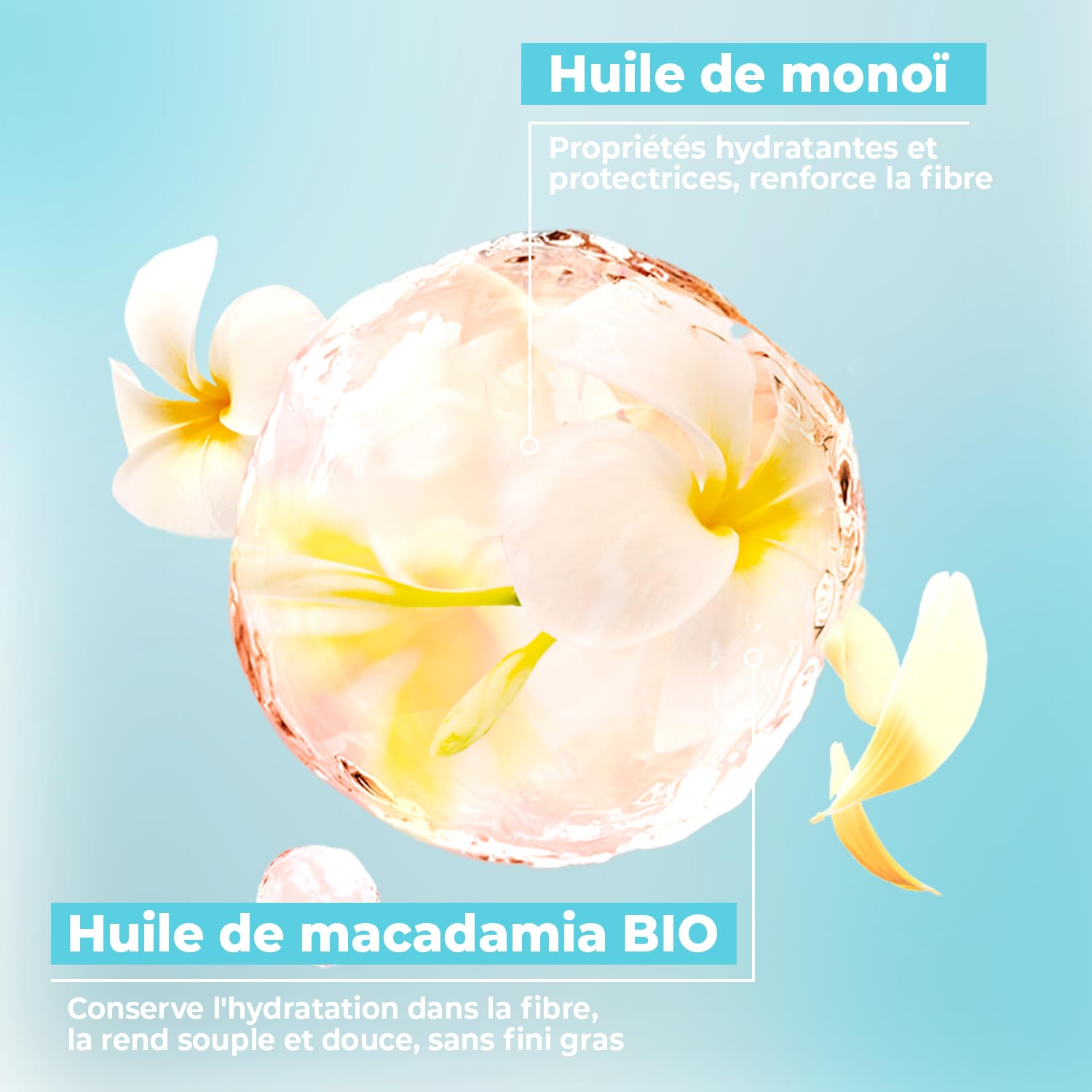 ENERGIE FRUIT | Shampoing sans Sulfate | Monoï & Macadamia BIO | Cheveux Secs Abimés | Vegan | 250 ml