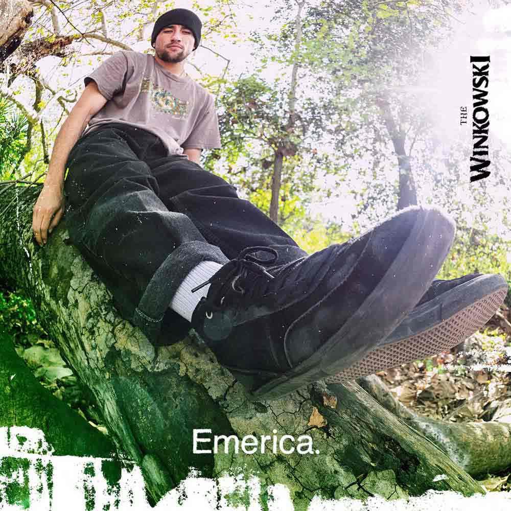 Emerica Winkowski Skateschuh für Herren
