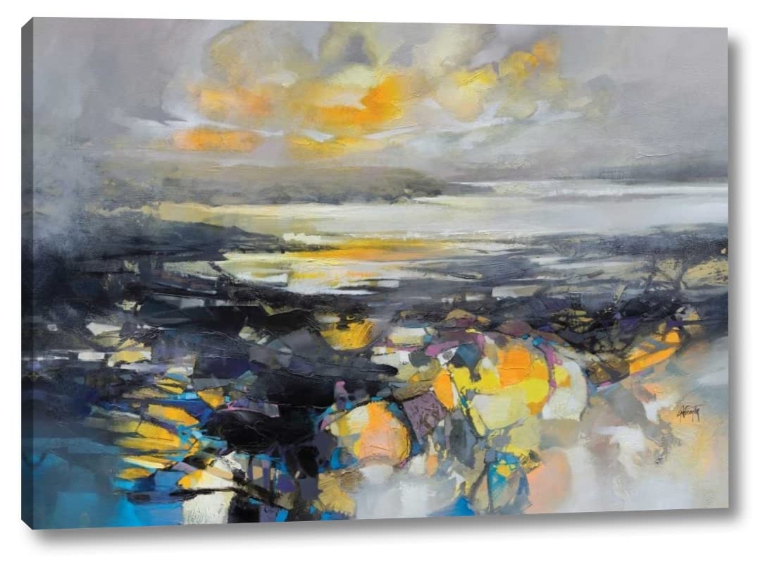 Matter 2 by Scott Naismith - 11" x 16" Canvas Art Print Gallery Wrapped - Ready to Hang