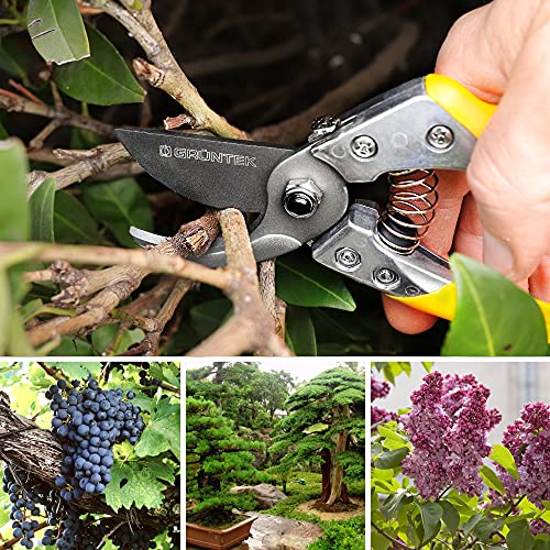 GRÜNTEK Tuinschaar Phoenix 200 mm Teflon, Super Convenient Bypass Tuinbouwtakschaar automatisch openend Teflon mes 50mm Bypass, Roosschaar, Wijnstokschaar, snoeischaar Tuinschaar - Afbeelding 5
