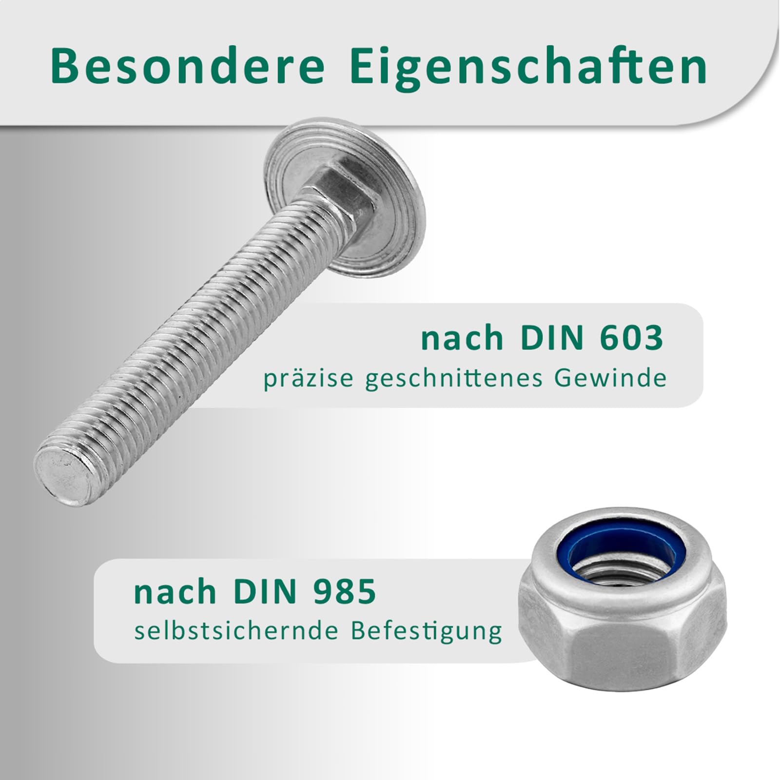 DSM – Viti a testa tonda M12 x 60 mm a norma DIN 603 – Dado di sicurezza M12 DIN 985 – Acciaio inox A2/V2A – Viti a testa tonda con attacco quadrato – Dadi autobloccanti con morsetto – 10 pezzi