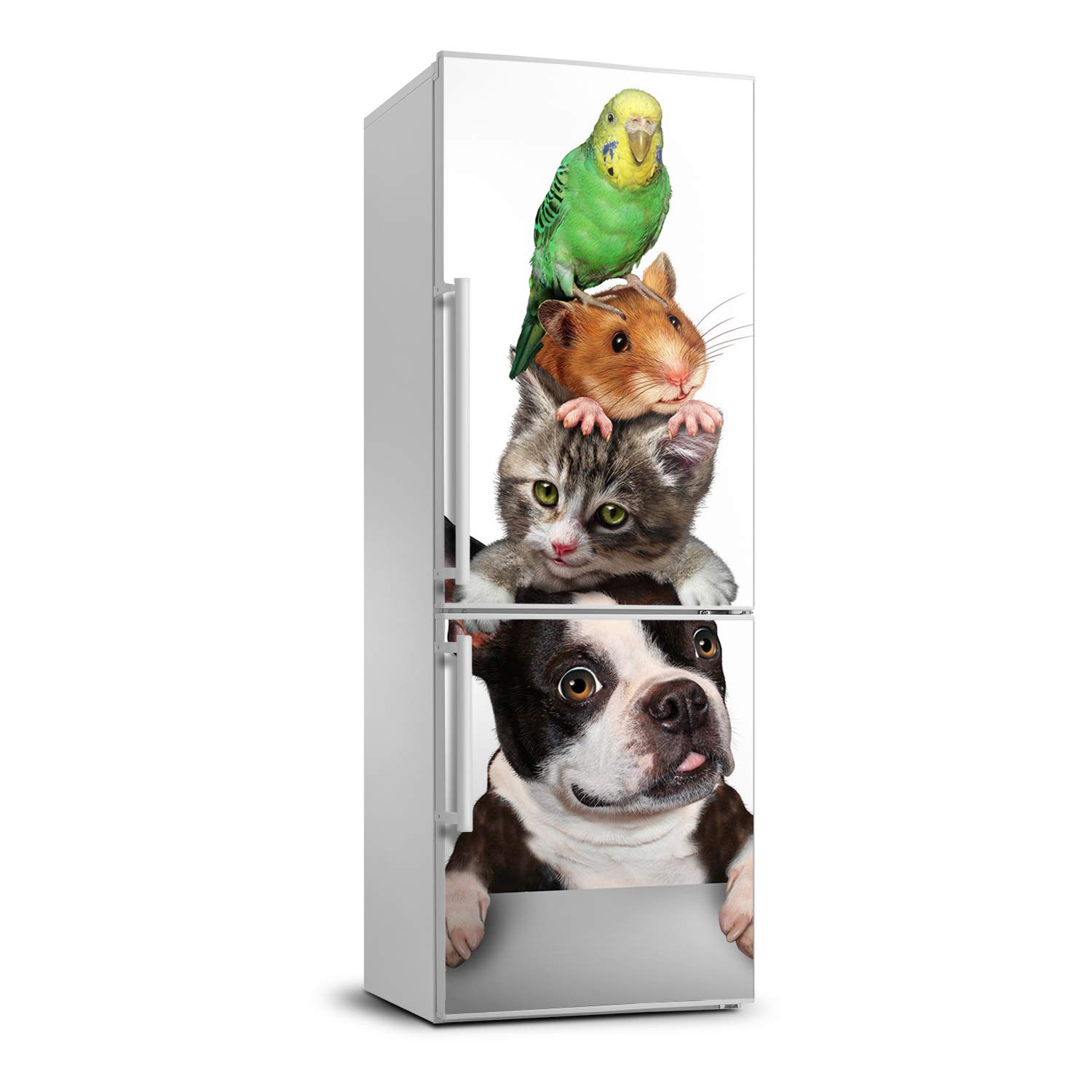 Protector autoadhesivo de nevera 70x190 cm que evita arañazos de mascotas