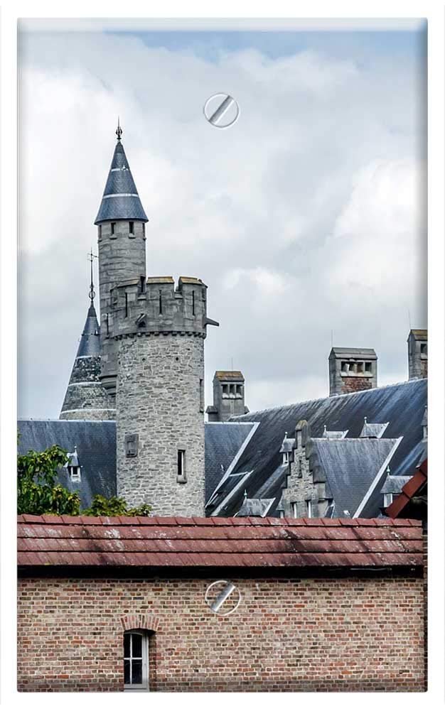 Single-Gang Blank Wall Plate Cover - Building By Look Castle Bornem