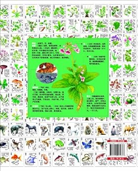 本草綱目彩色図譜 61zWVZrInTL._UF350,350_QL80_.jpg