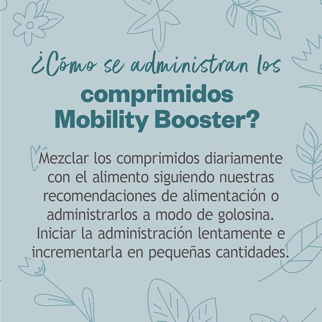 Foto 5 de 6 de GRAU - El Original - Hokamix Vitality Booster Tabs, Paquete Individual (1 x 200 Unidades)