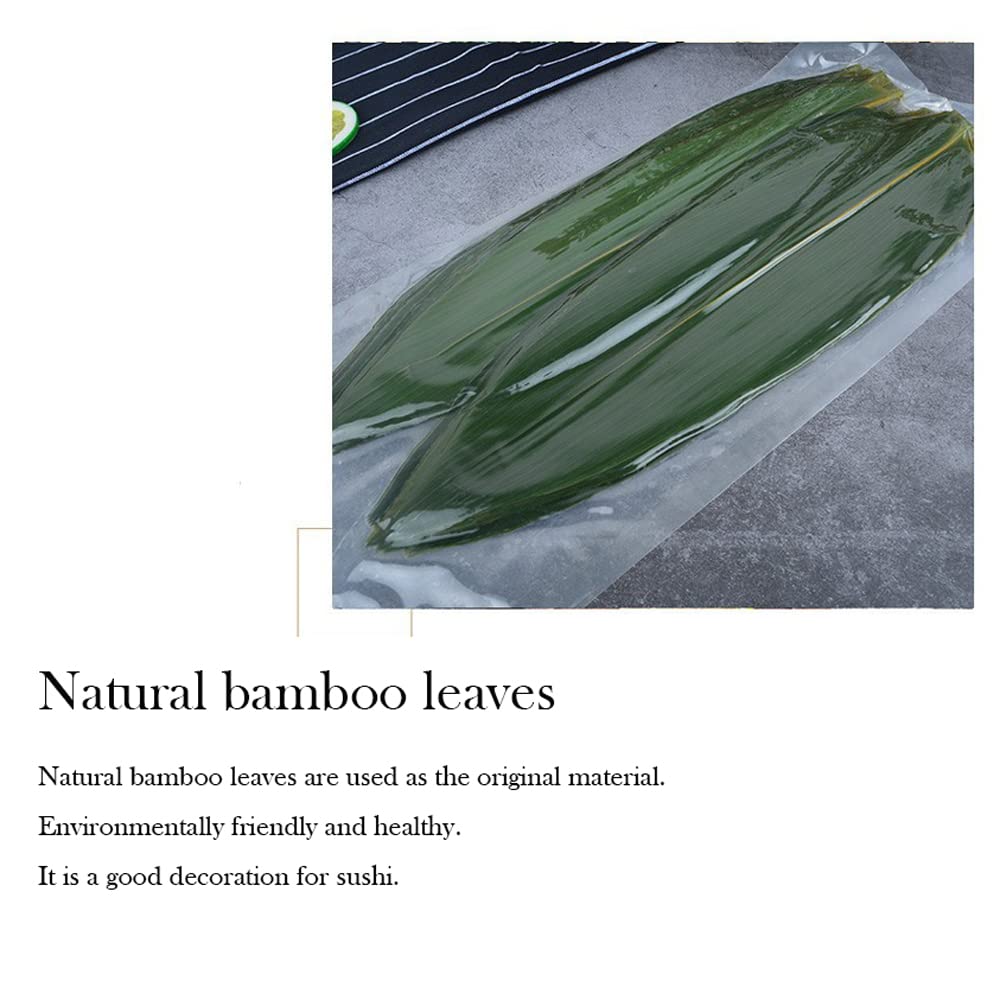 Hojas de bambú de sushi decorativas japonesas, empaquetadas al vacío, hojas de bambú Zongzi frescas, decoraciones de sashimi (l)