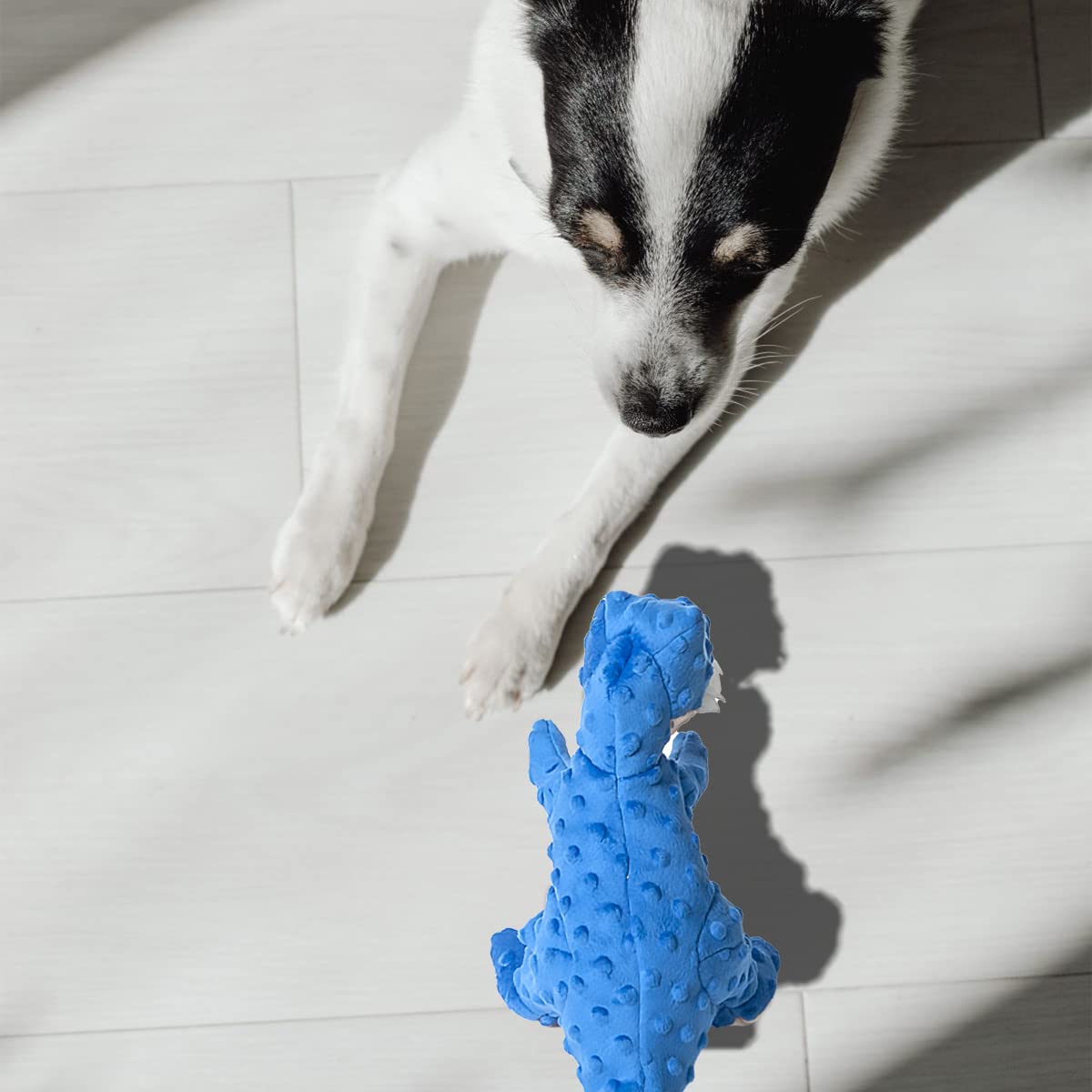 DODODOLA Giocattolo di peluche per cani con carta increspata, simpatico dinosauro che squittisce, giocattoli da masticare per cani di taglia media e grande