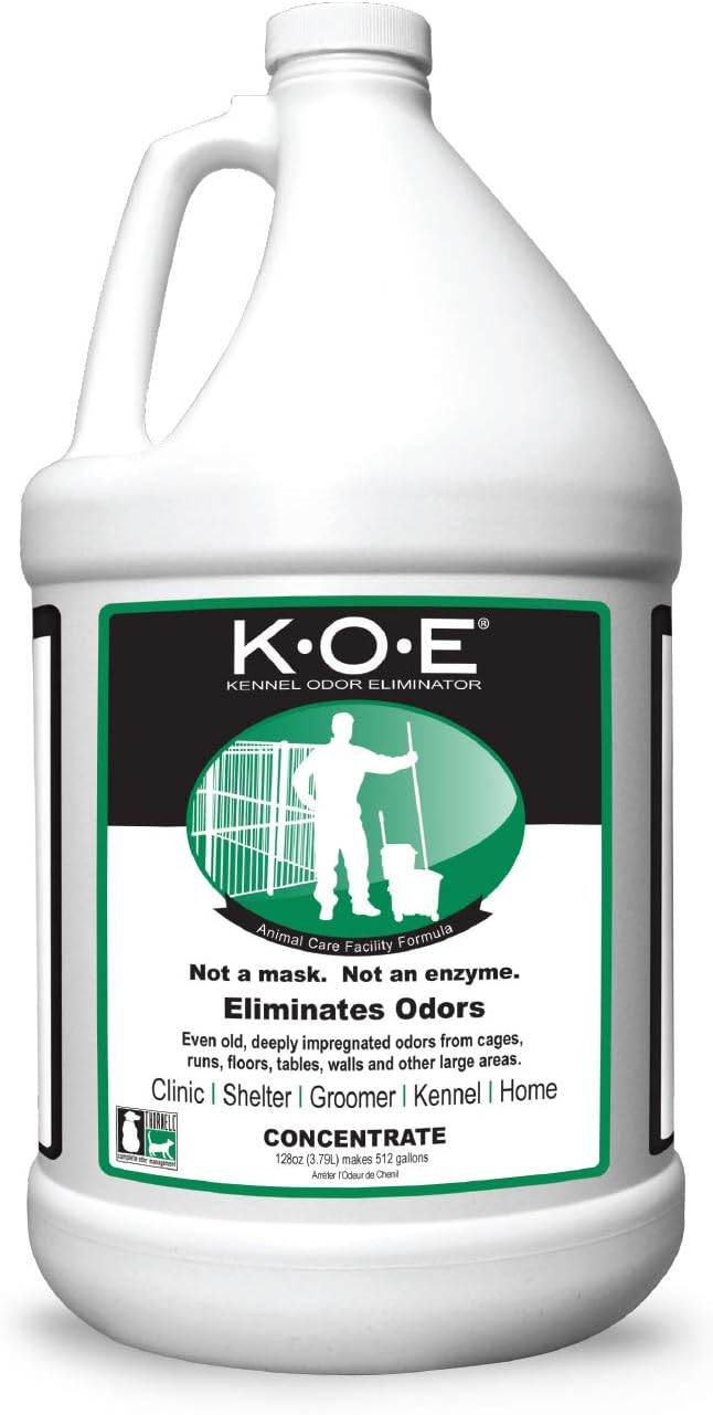 The Best Odor Eliminator For Home in 2022