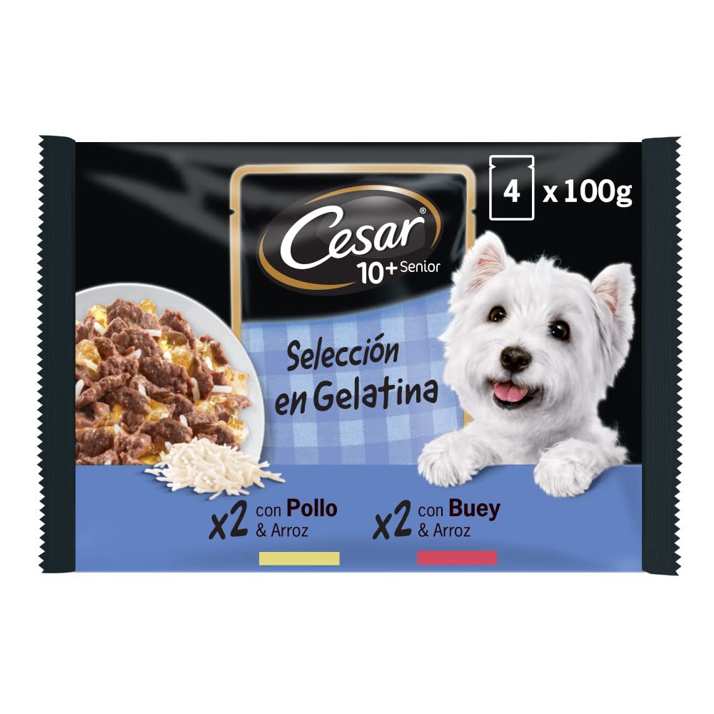 Cesar 10+ Senior - Selezione in Gelatina 13 x (4 x 100g)