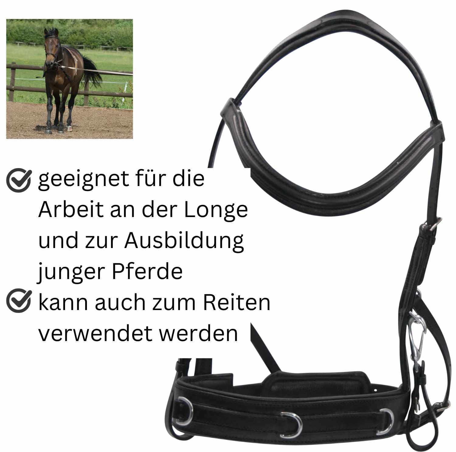 AMKA Reitkappzaum mit Gebissverschnallung zum Longieren und Reiten gebisslos oder mit Gebiss VB, WB, XWB