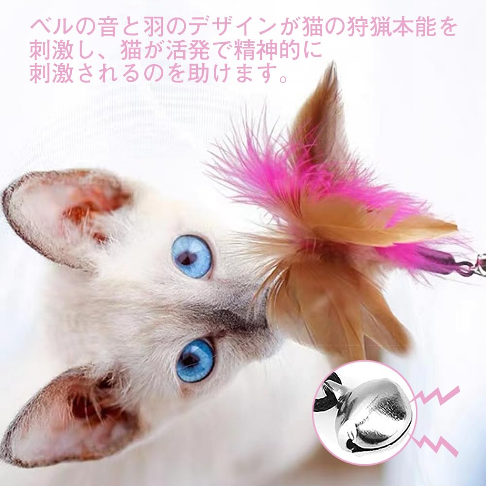 Amazon | YBGGJO 猫おもちゃ 猫じゃらし 2点セット ねこ玩具 天然鳥の 